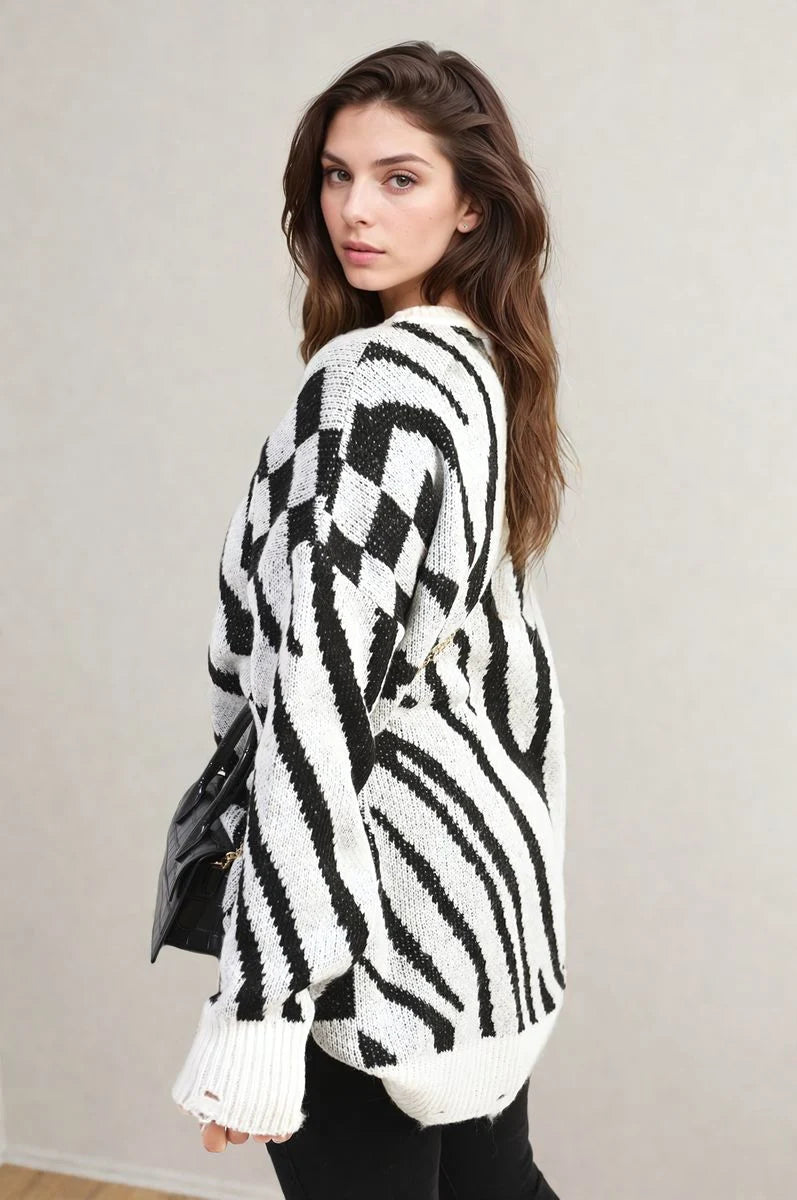 Andy Zebra Stripe Knitted Jumper - 2 colours