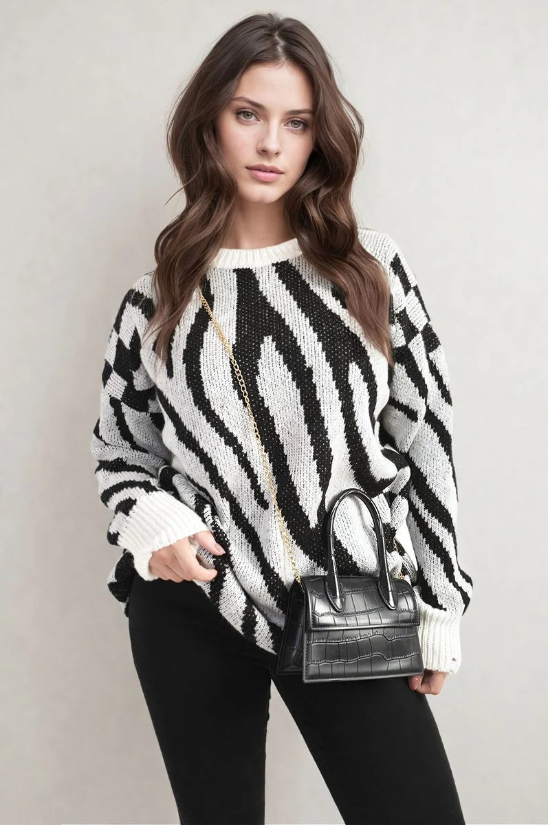 Andy Zebra Stripe Knitted Jumper - 2 colours